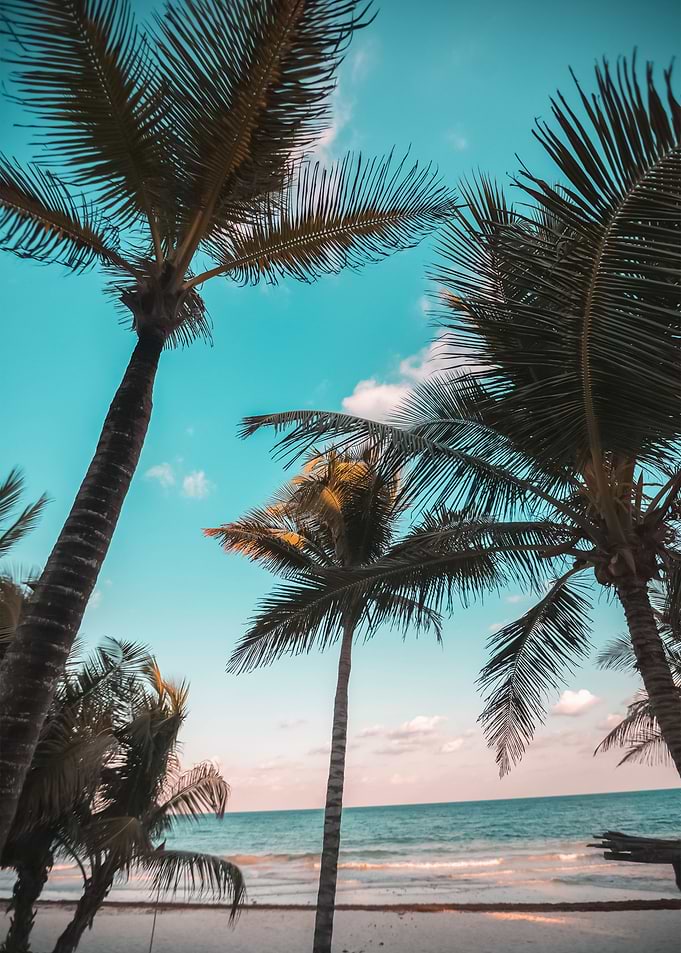 Beach 137