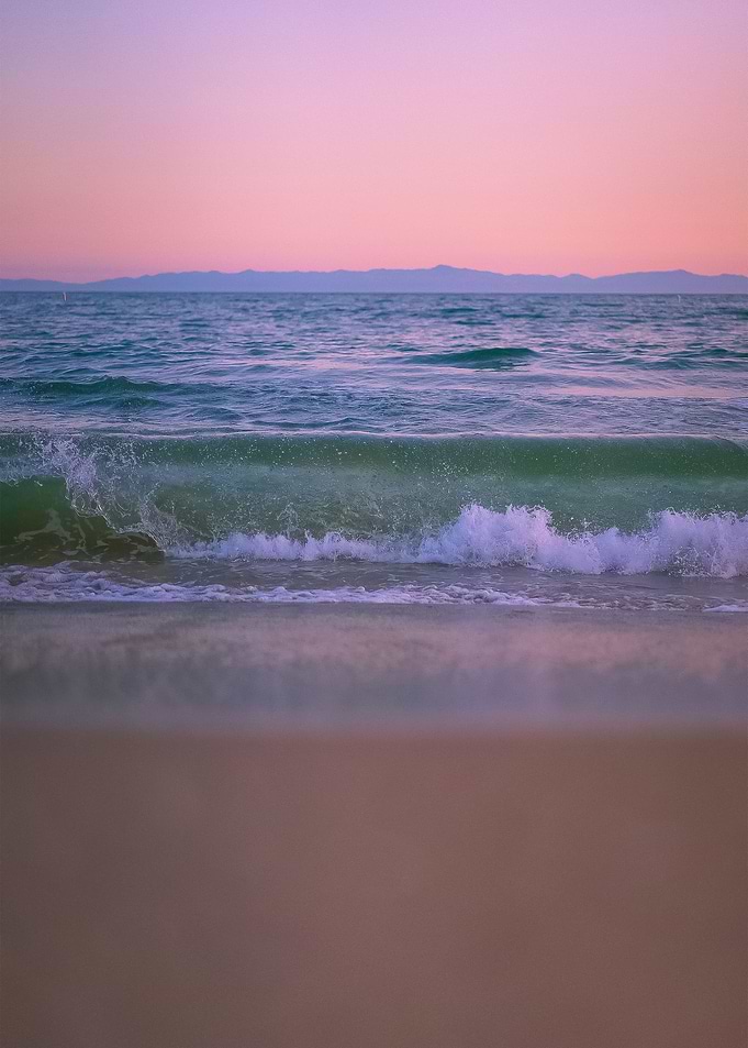 Beach 446