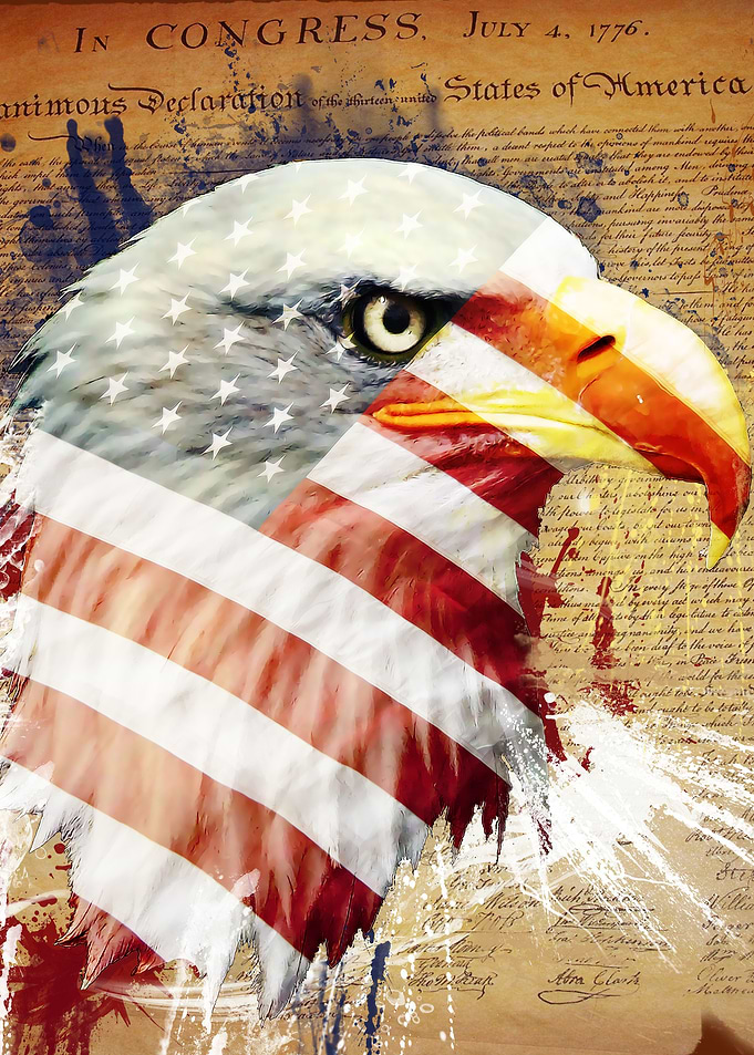 Land Of The Free