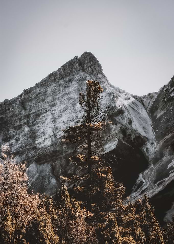 Landscape 148