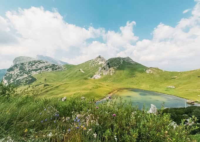 Landscape 252