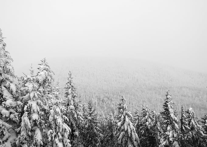 Snow 152
