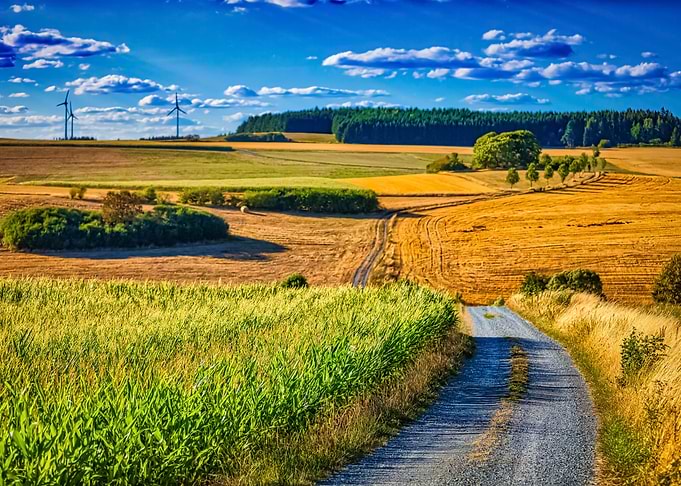 Landscape 261