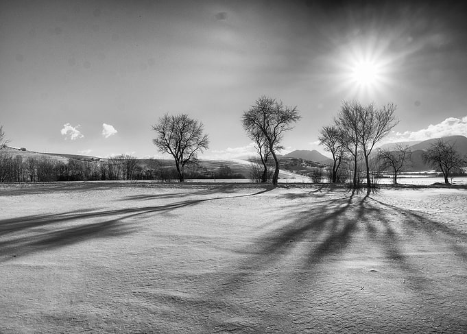 Snowy land