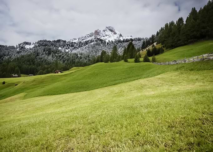 Landscape 164