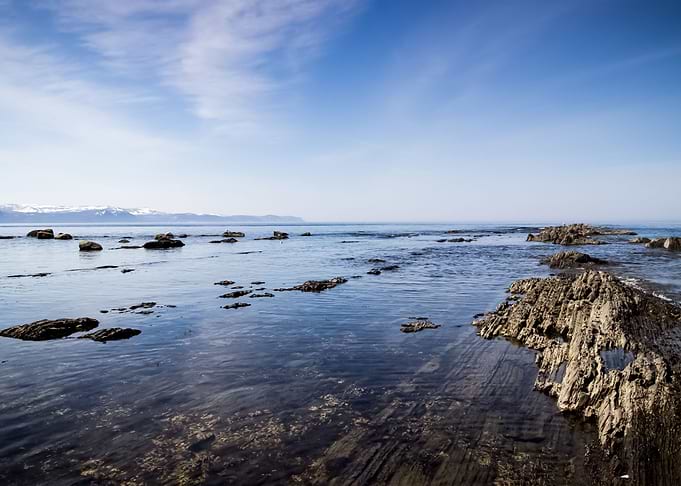 Water Landscape 25