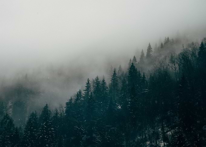 Mountain 245
