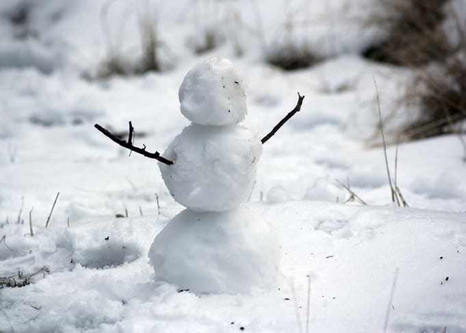 Snow 141