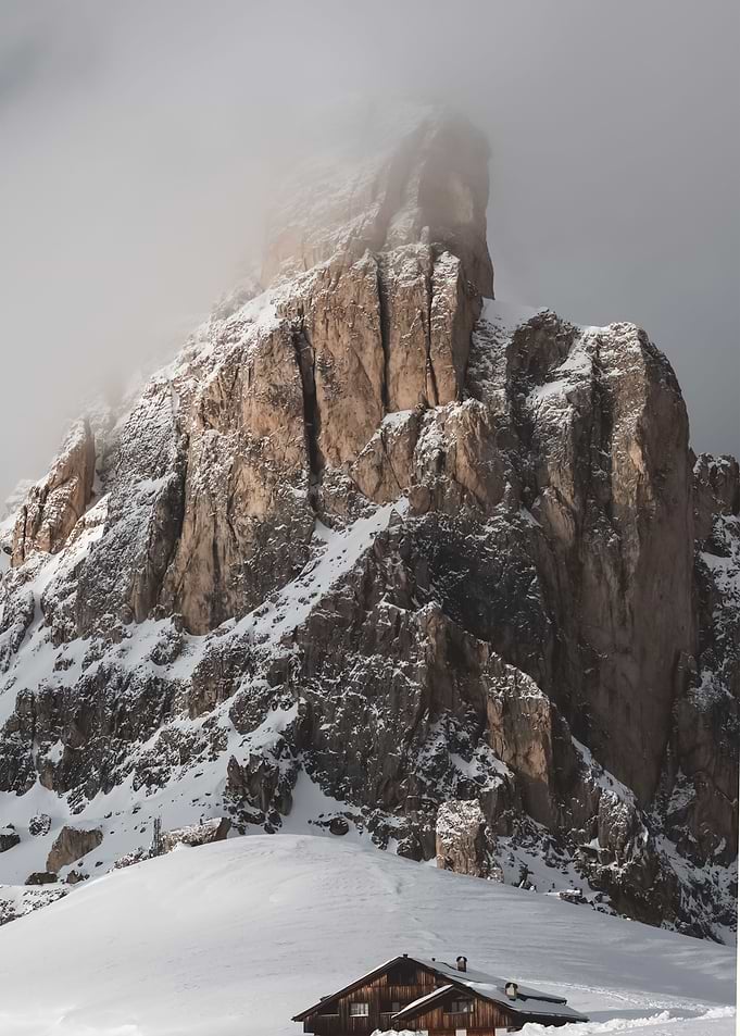Snow 113