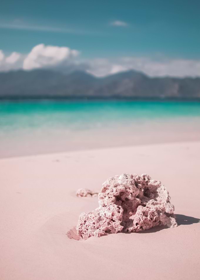 Beach 365