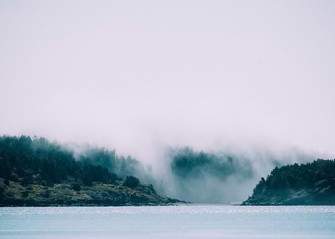 Water Landscape 137