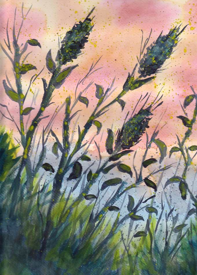 Growing Wild