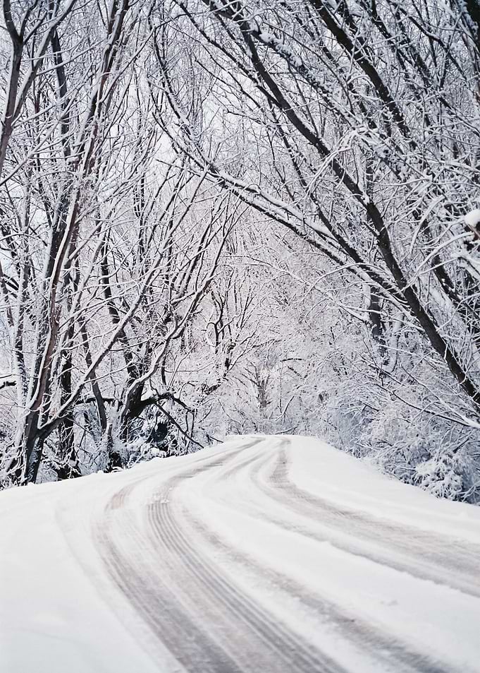 Snow 75