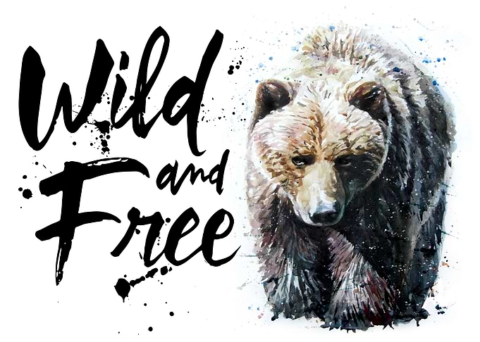 Bear wild and free