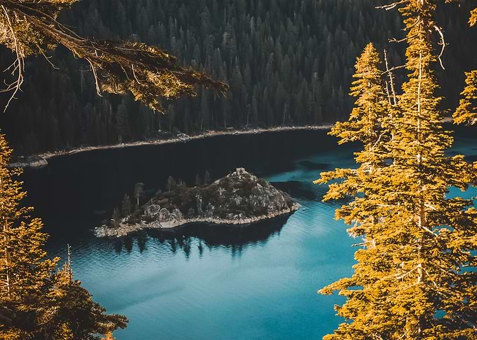 Water Landscape 160