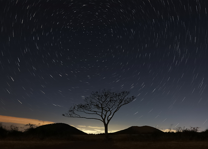 Stars 225