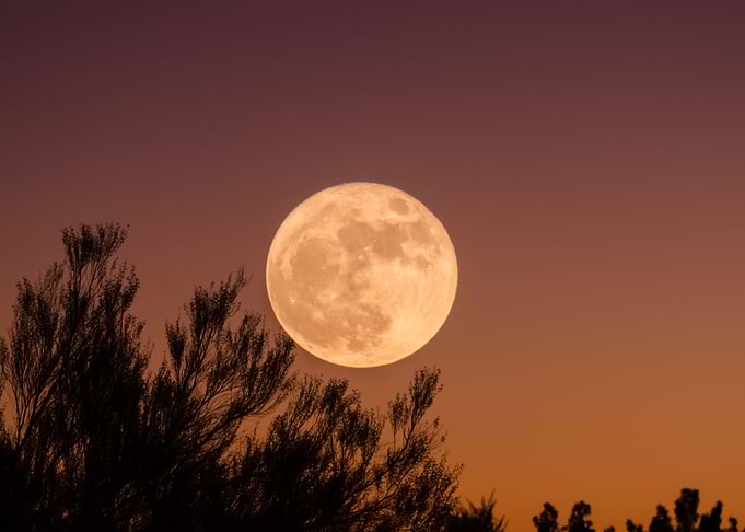 Moon 24