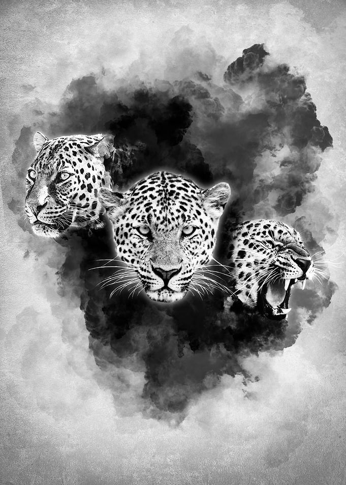 Abstract Leopard