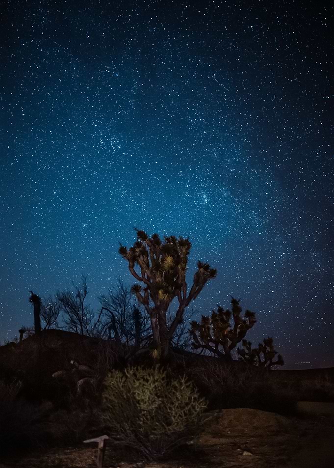 Stars 255