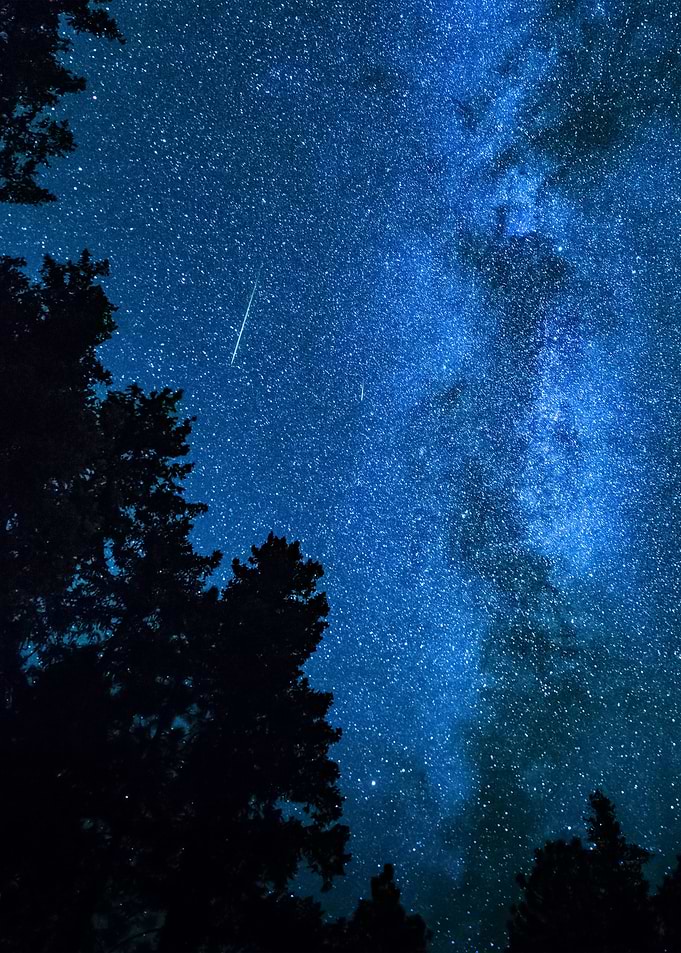 Stars 239