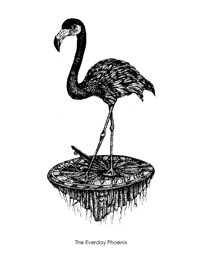 The Everyday Phoenix