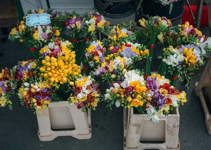 Flowers 119
