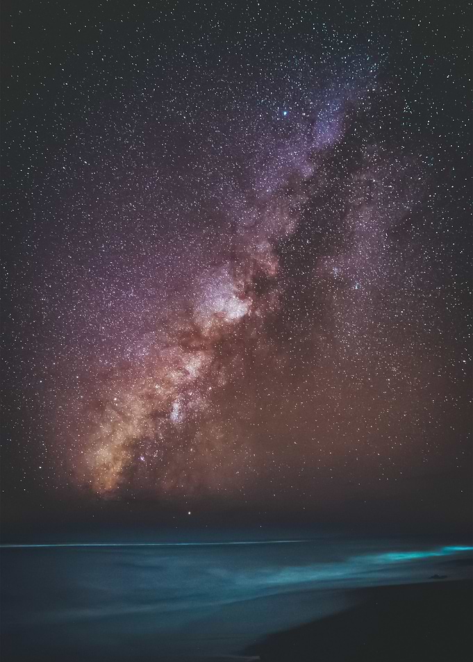 Stars 206