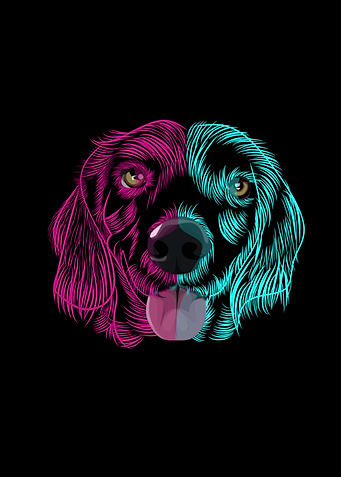 Dog on neon mode