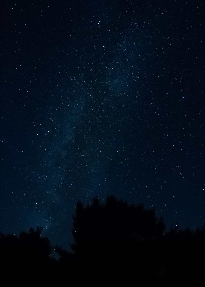 Stars 229