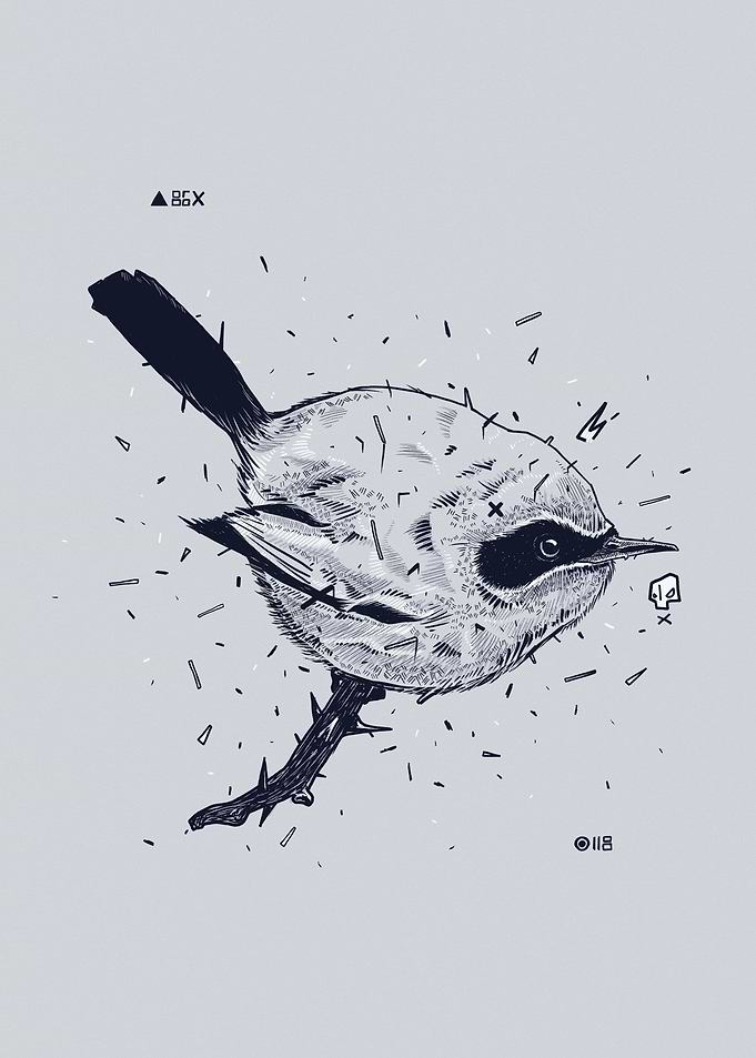 Bird Ball