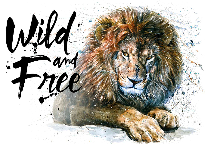 Lion Wild and free King