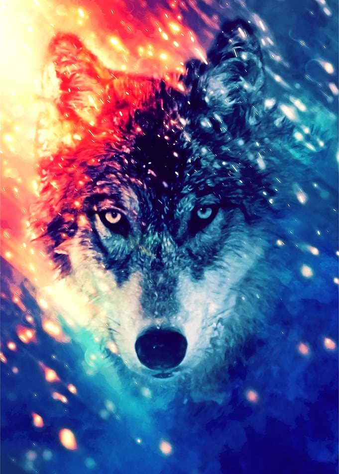 Wolf Head