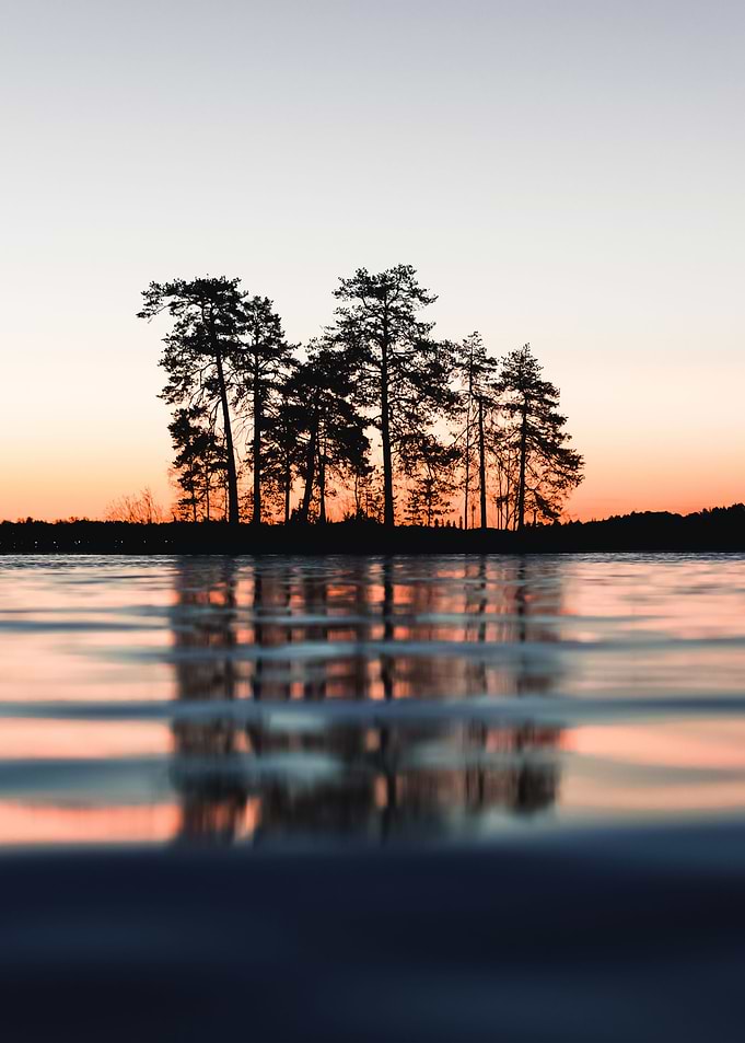 Water Landscape 368