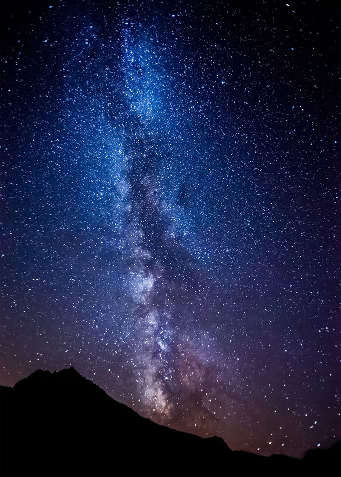 Stars 278