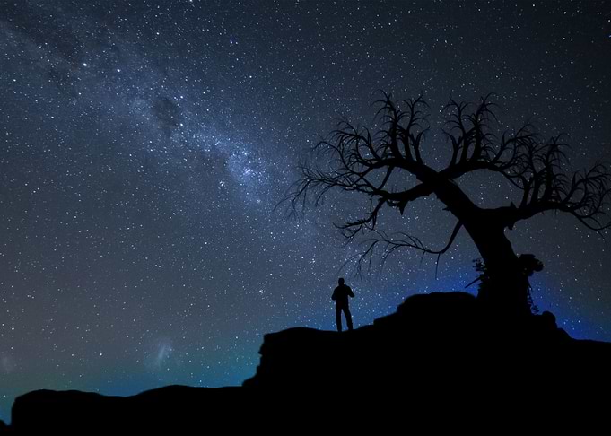 Stars 213
