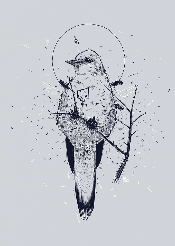 Holly Bird