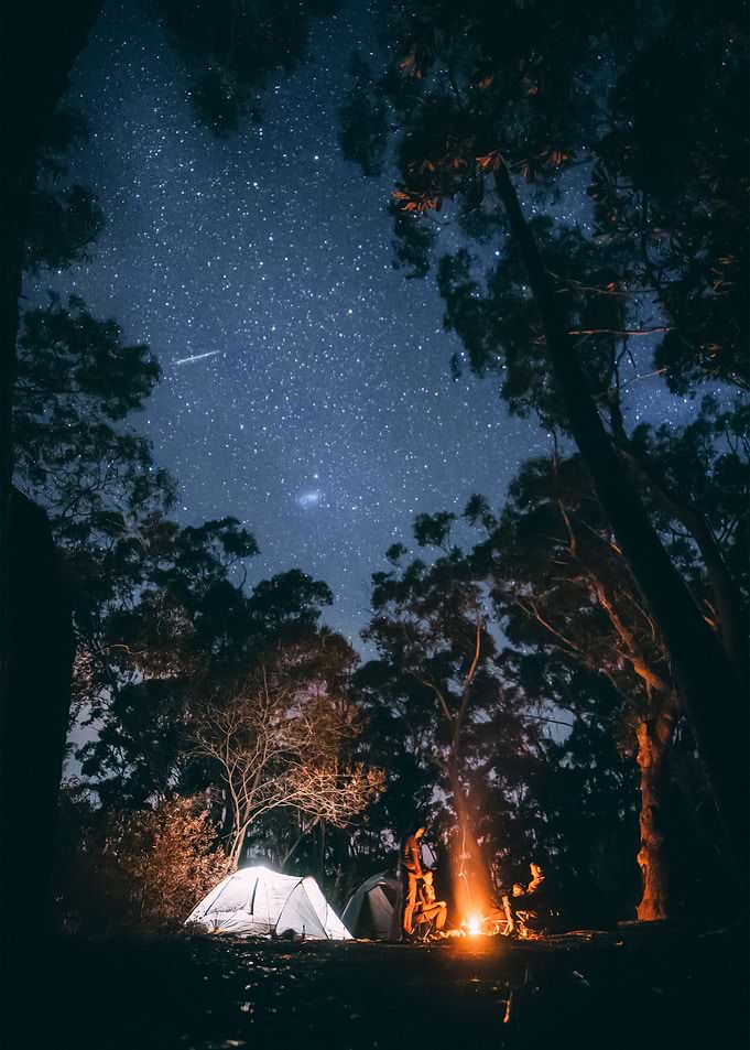 Stars 20