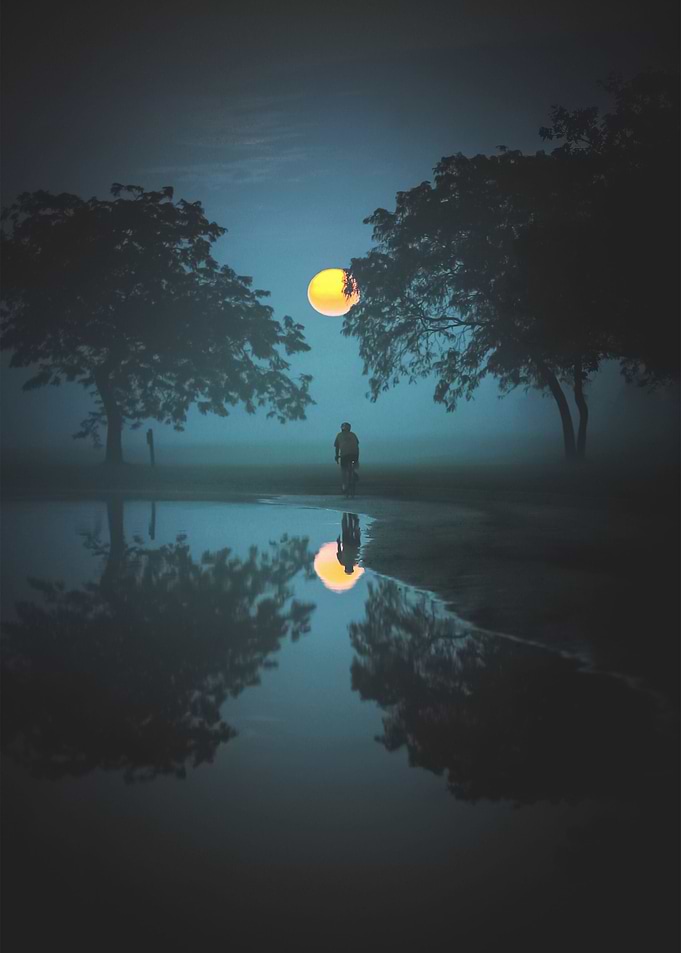 Moon 81