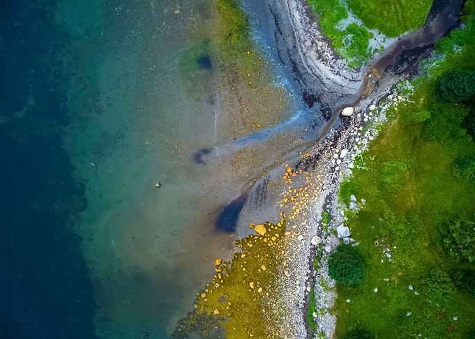 Water Landscape 229