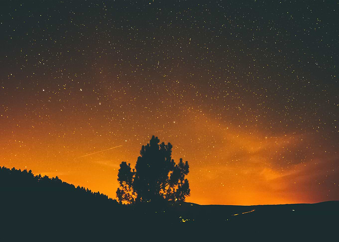 Stars 202