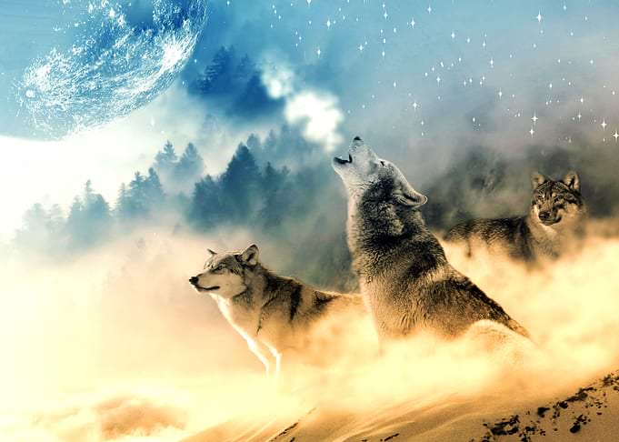 Tree wolfs