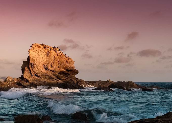 Water Landscape 449