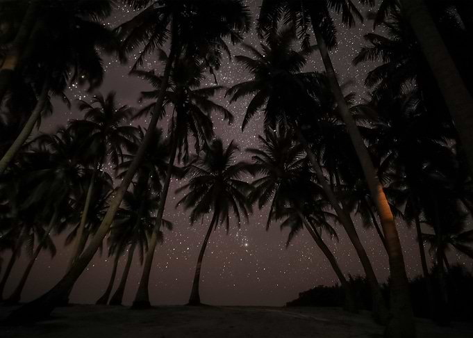 Stars 37