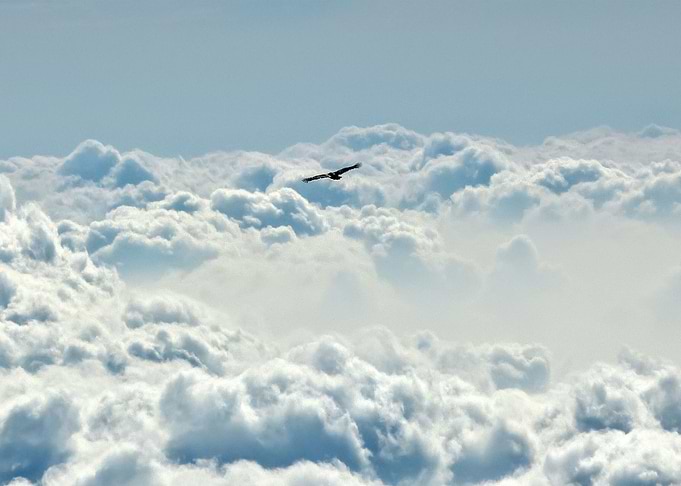 Sky 43