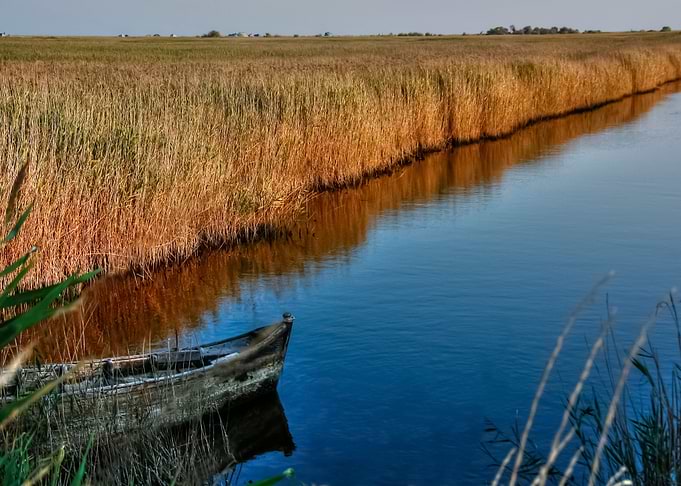 Water Landscape 387