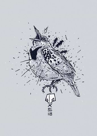 Latest drop