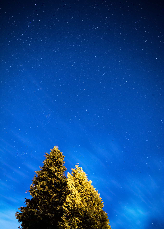 Stars 79
