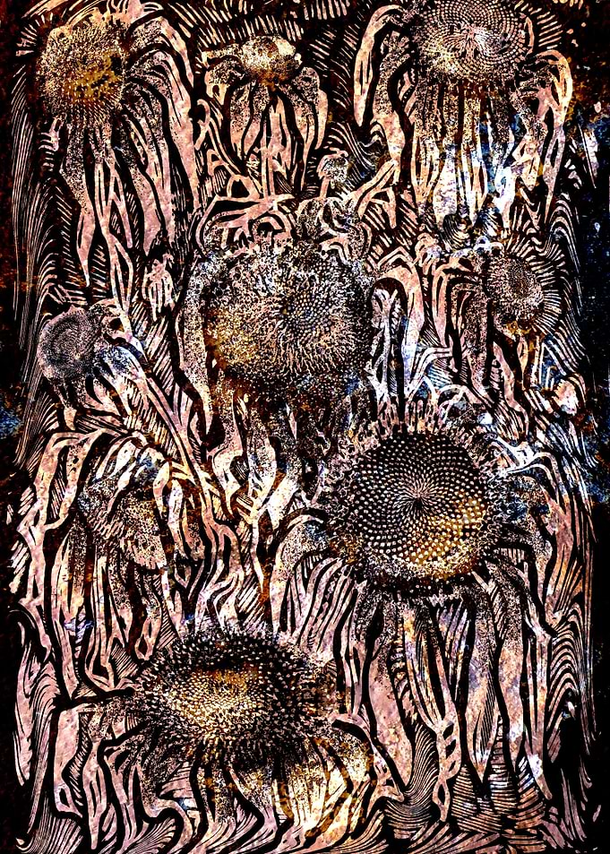 Sunflowers