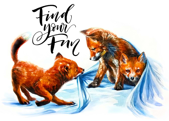 Foxes playing