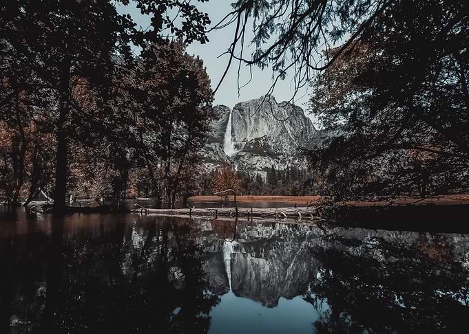 Water Landscape 201